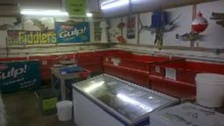 NSB Bait and Tackle | 197 N Causeway, New Smyrna Beach, FL 32169, USA | Phone: (386) 428-2841