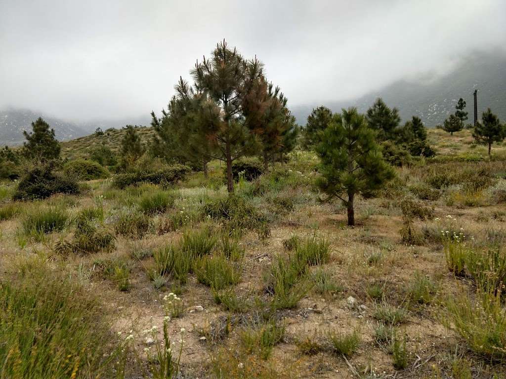 Smith Mountain Trailhead | Azusa, CA 91702, USA