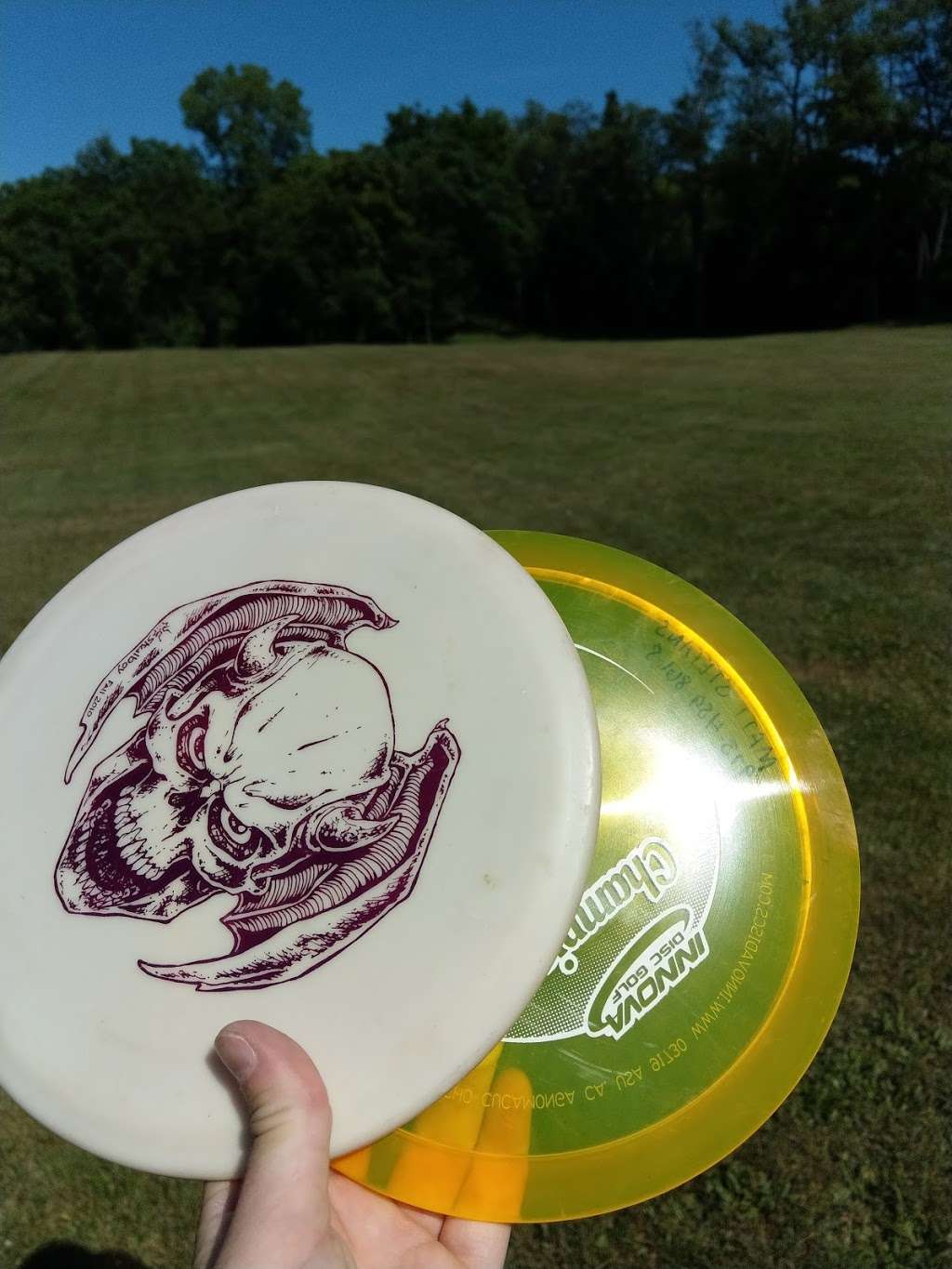 Warwick Park Disc Golf Course | Park Dr, Warwick, NY 10990