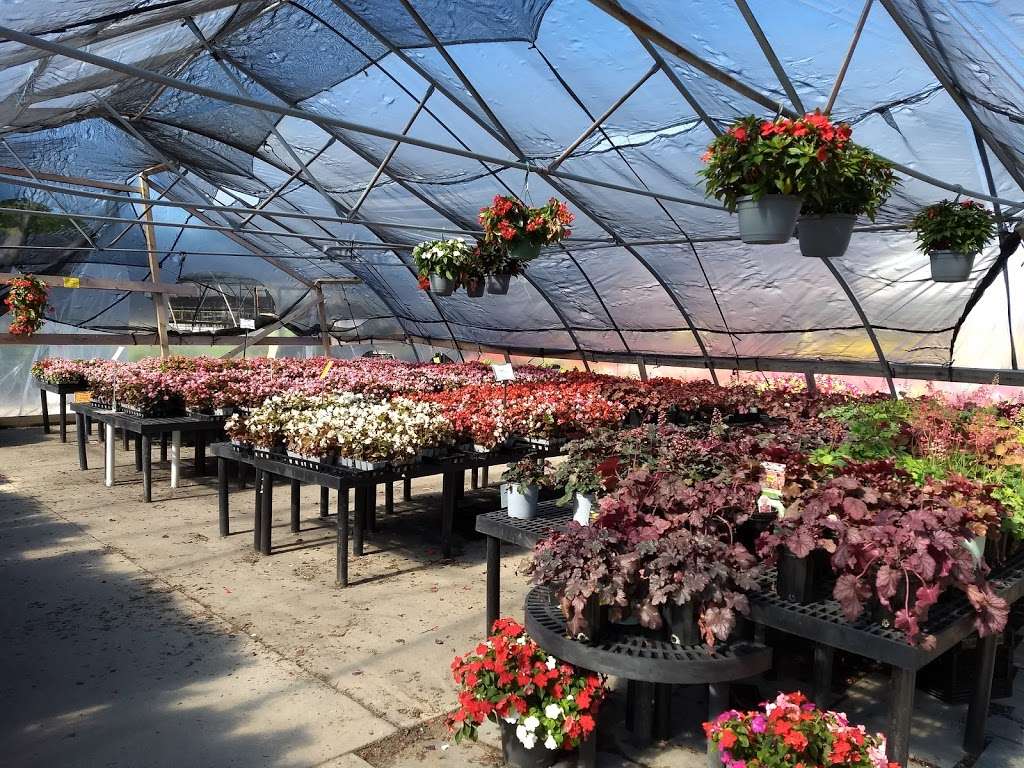 West End Florist & Garden Center | 3800 Old Glenview Rd, Evanston, IL 60201, USA | Phone: (847) 251-1943