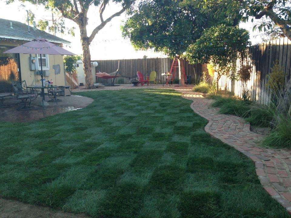 RotoTillerGuy ; Landscape Contractor | Sod | Sprinkler Installat | 17210 Prairie Ave, Torrance, CA 90504 | Phone: (310) 405-9280