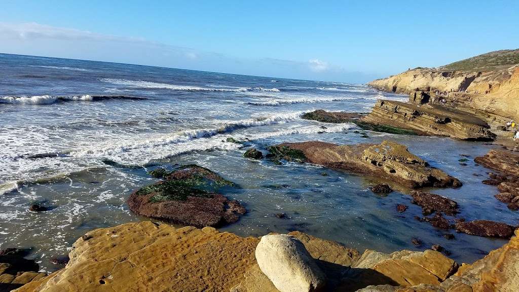 Point Loma Tide Pools | 1800 Cabrillo Memorial Dr, San Diego, CA 92106, USA | Phone: (619) 557-5450