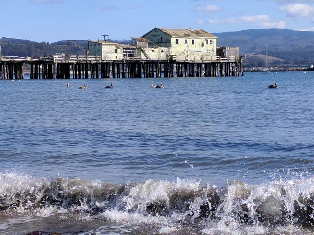 Pillar Point Harbor Beach | 4000 Cabrillo Hwy N, Half Moon Bay, CA 94019, USA