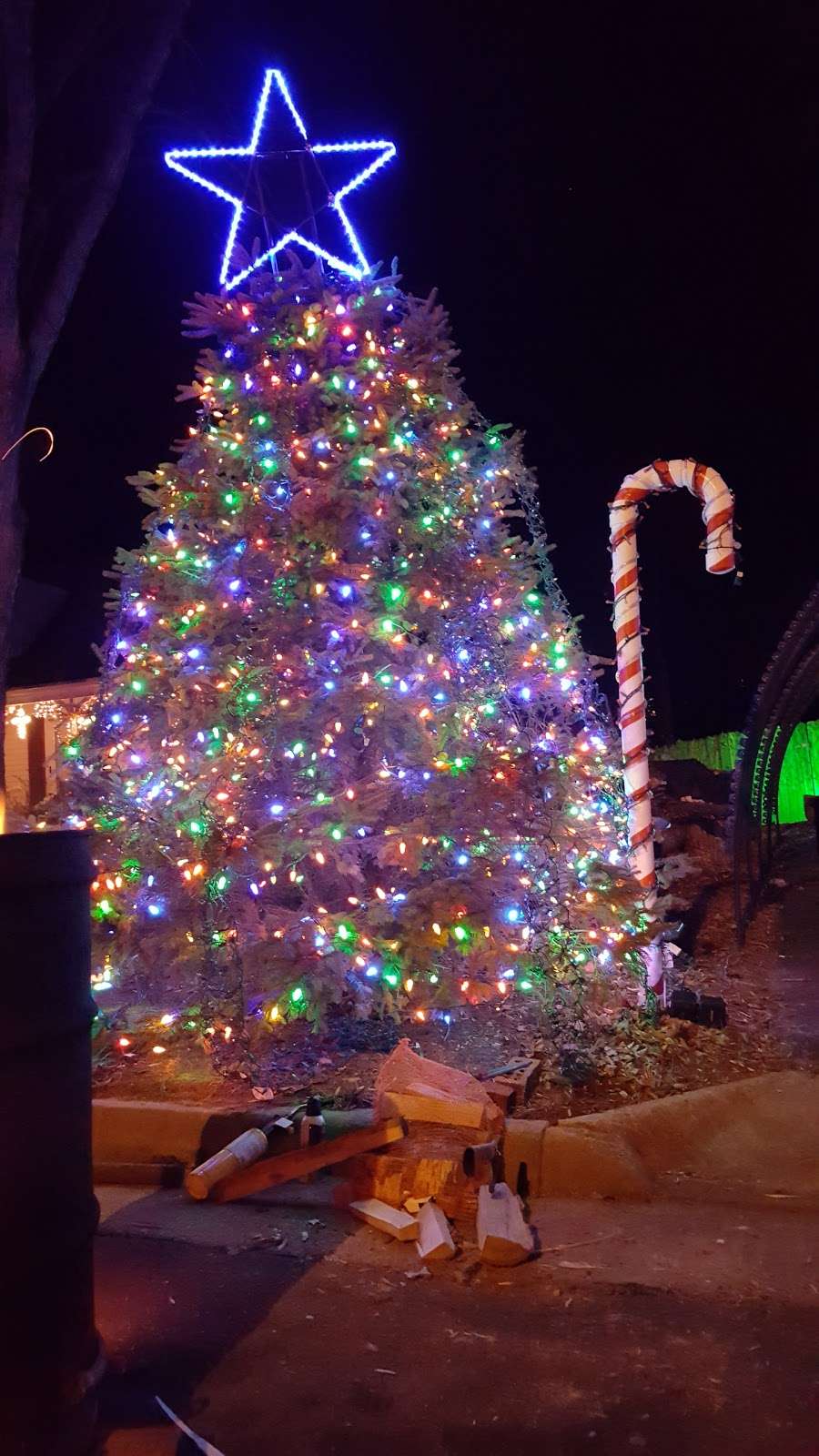Reagon Ct Christmas Lights | 5552 Reagon Court, Woodbridge, VA 22193, USA | Phone: (571) 436-4515