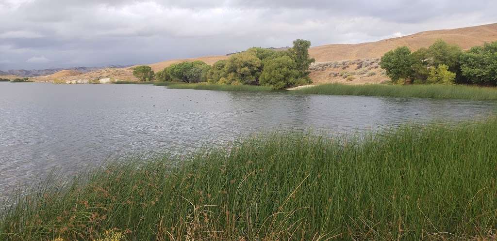 Quail Lake - Recreation Area | Lancaster, CA 93536, USA | Phone: (661) 294-0219