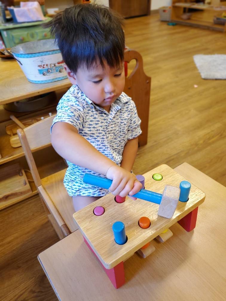 Healthy Beginnings Montessori House | 3411 Los Rios Blvd, Plano, TX 75074, USA | Phone: (972) 881-8200