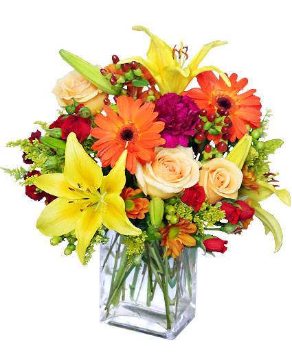 Pattis Petals Florist, Gardens and Gifts | 219 Market St, Denton, MD 21629, USA | Phone: (410) 479-4445