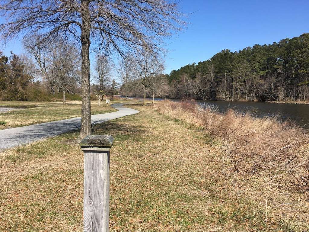 Nature Trail | Unnamed Road, Federalsburg, MD 21632, USA