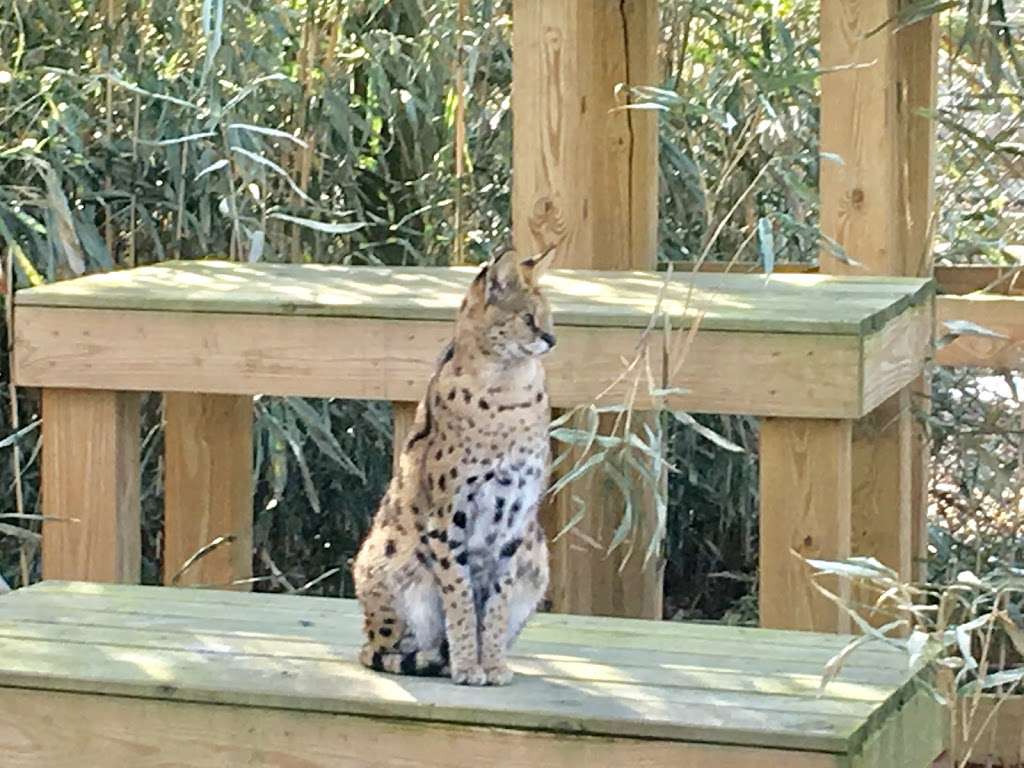 Cohanzick Zoo | 45 Mayor Aitken Dr, Bridgeton, NJ 08302, USA | Phone: (856) 453-1658