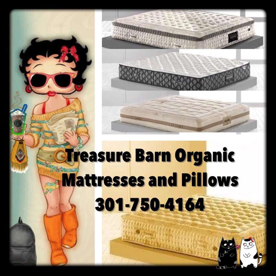 Treasure Barn Organic Mattresses | 16650 Georgia Ave, Olney, MD 20832 | Phone: (301) 750-4164