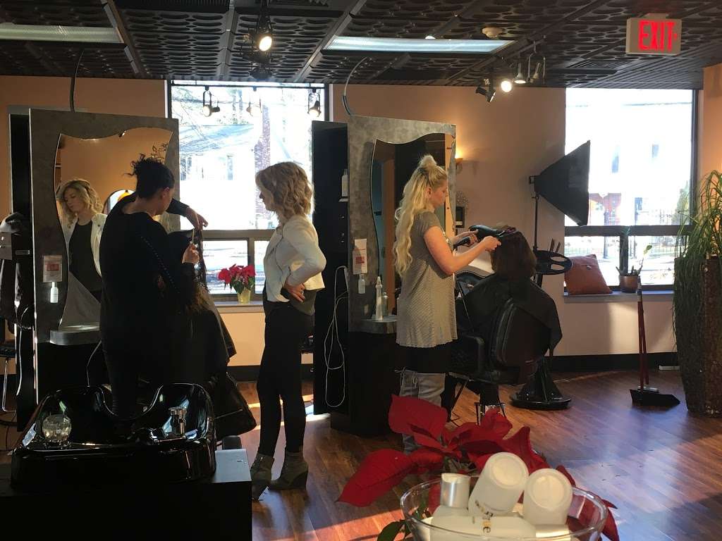 True Salon | 1291 Worcester Rd, Framingham, MA 01702, USA | Phone: (508) 879-3130