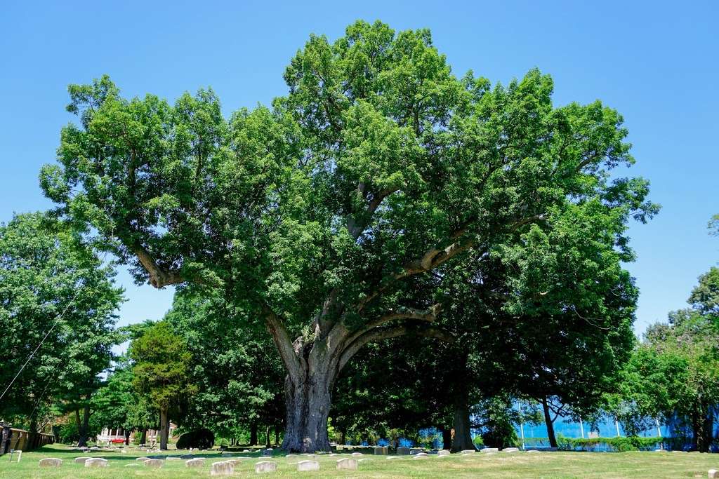 Salem Friends Cemetery | W Broadway, Salem, NJ 08079, USA | Phone: (856) 935-5657