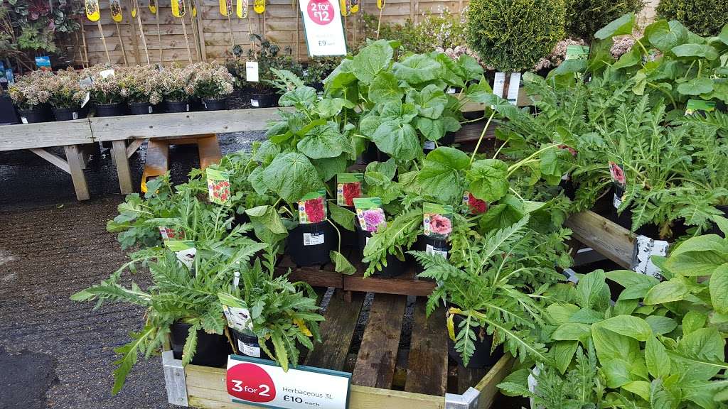 Keston, a Wyevale Garden Centre | Oakley Rd, Bromley BR2 8HD, UK | Phone: 0844 288 5082