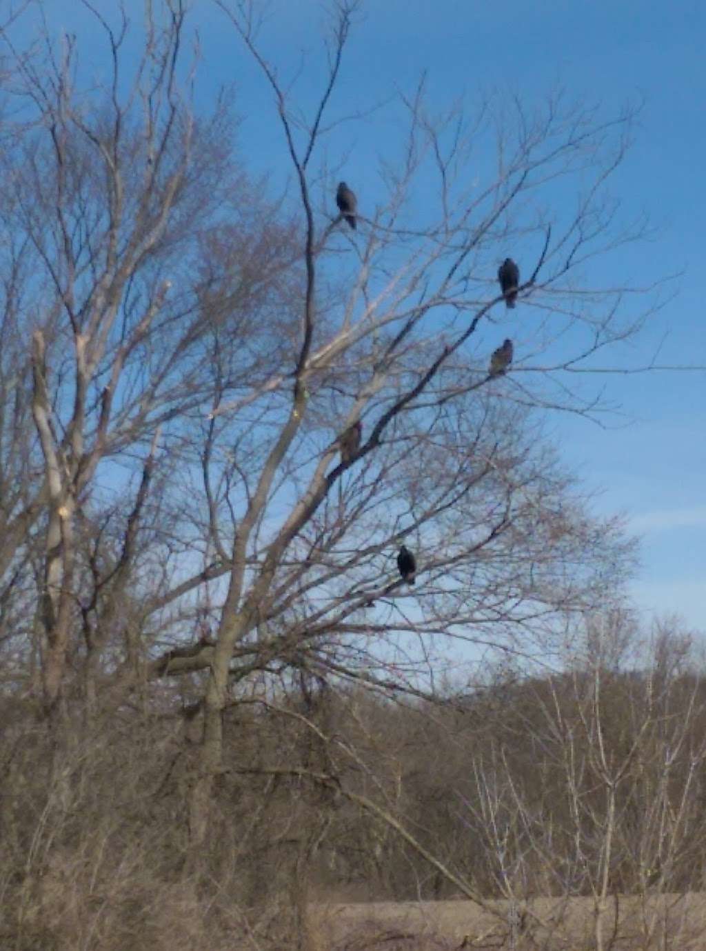 Gilbert Park | 703 Adrian St, Yorkville, IL 60560, USA | Phone: (630) 553-4350