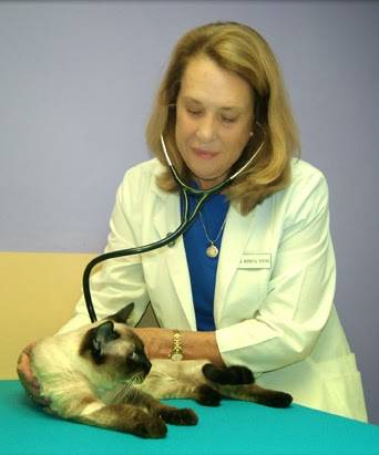 Steele Creek Animal Hospital | 9729 S Tryon St, Charlotte, NC 28273, USA | Phone: (704) 588-4400