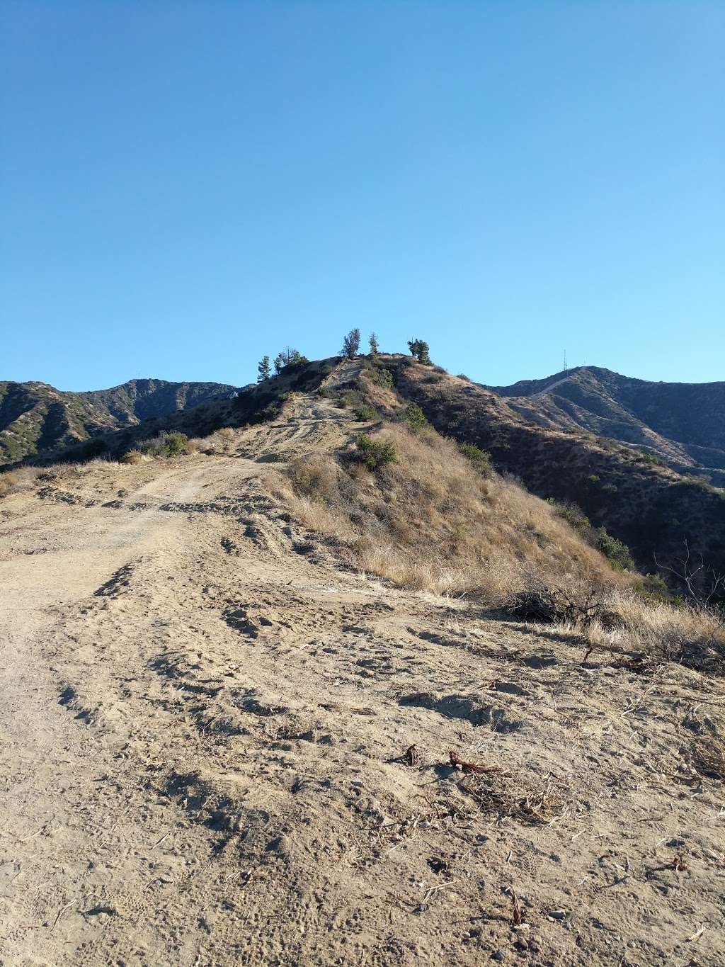 Brand Library Hiking Trail | Glendale, CA 91207, USA