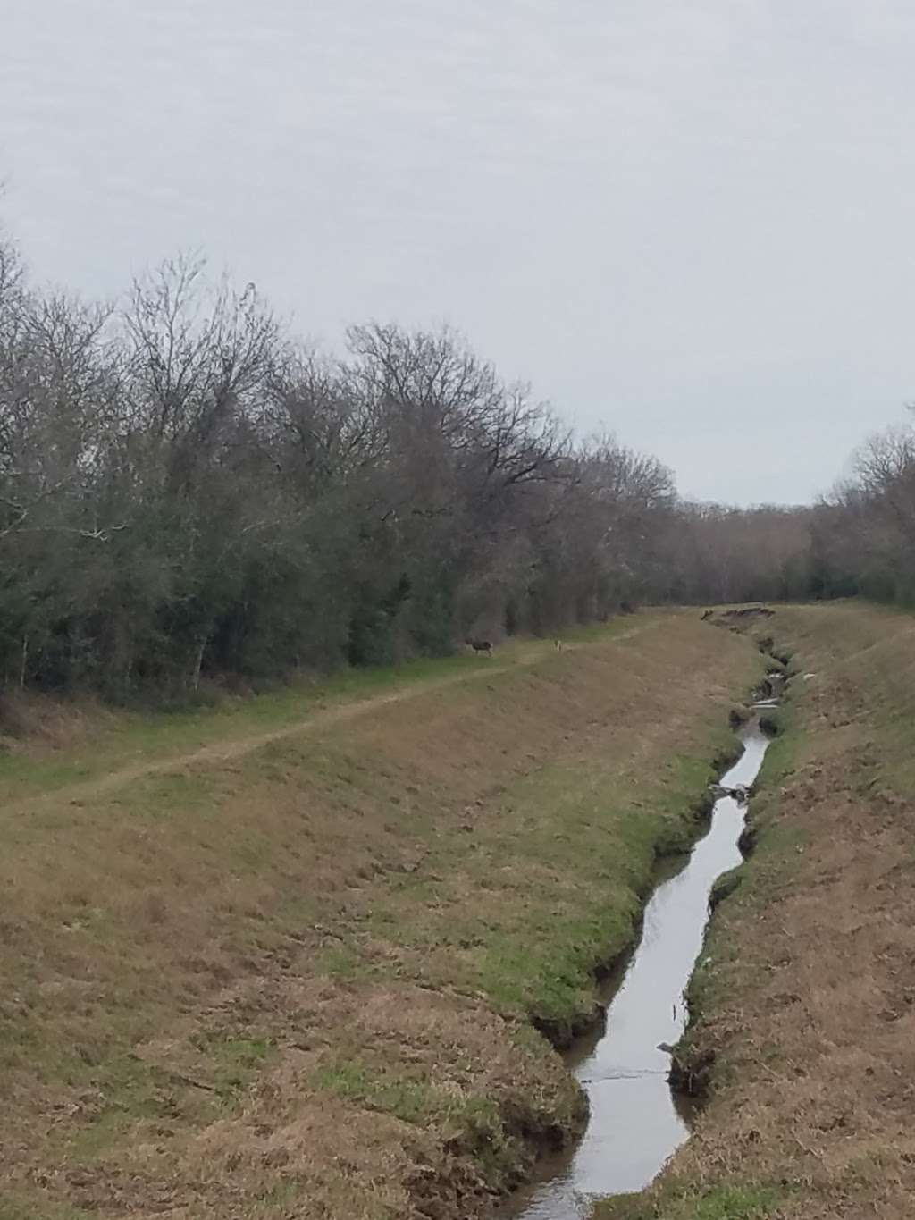 Armand Bayou Hike & Bike Trail - Fairmont Parkway Trail Head | 7123 Red Coral Dr, Pasadena, TX 77505, USA