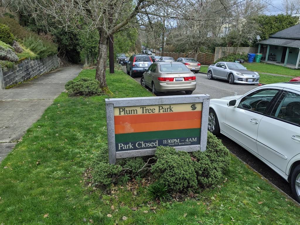 Plum Tree Park | 1717 26th Ave, Seattle, WA 98122, USA | Phone: (206) 684-4075