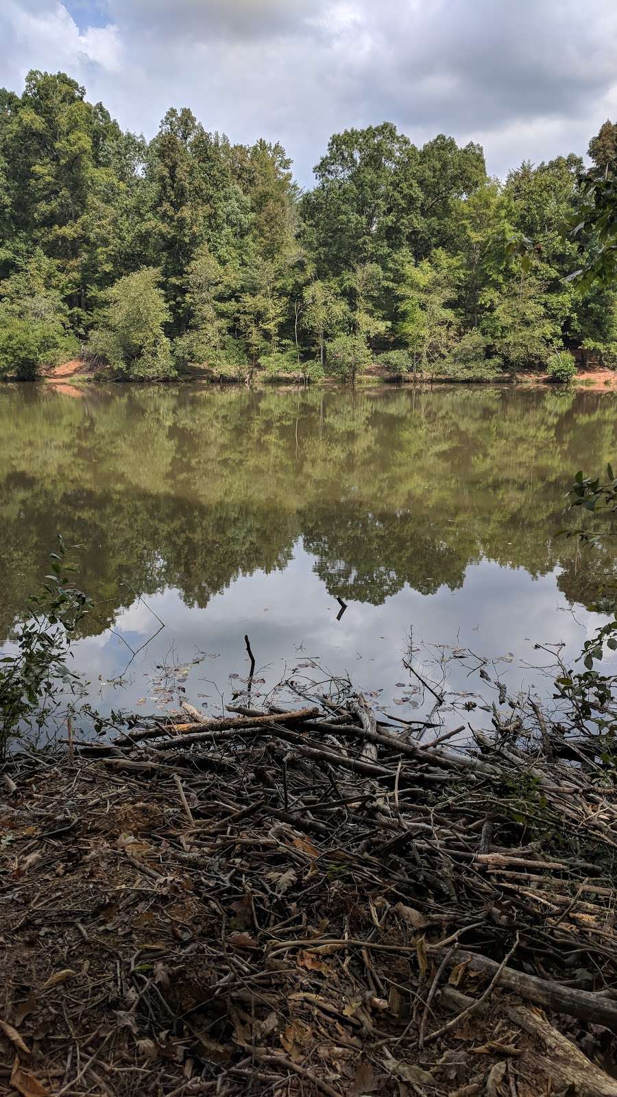 Reedy Creek Park Shelter 4 | 2900 Rocky River Rd, Charlotte, NC 28213, USA | Phone: (980) 314-1001