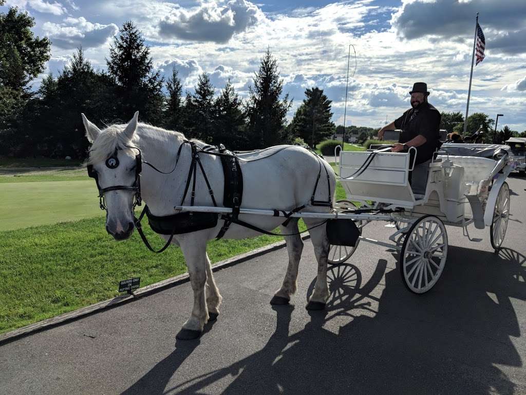 Mane Event Carriages | 90 Ader Ave, Clayton, IN 46118, USA | Phone: (317) 702-4185