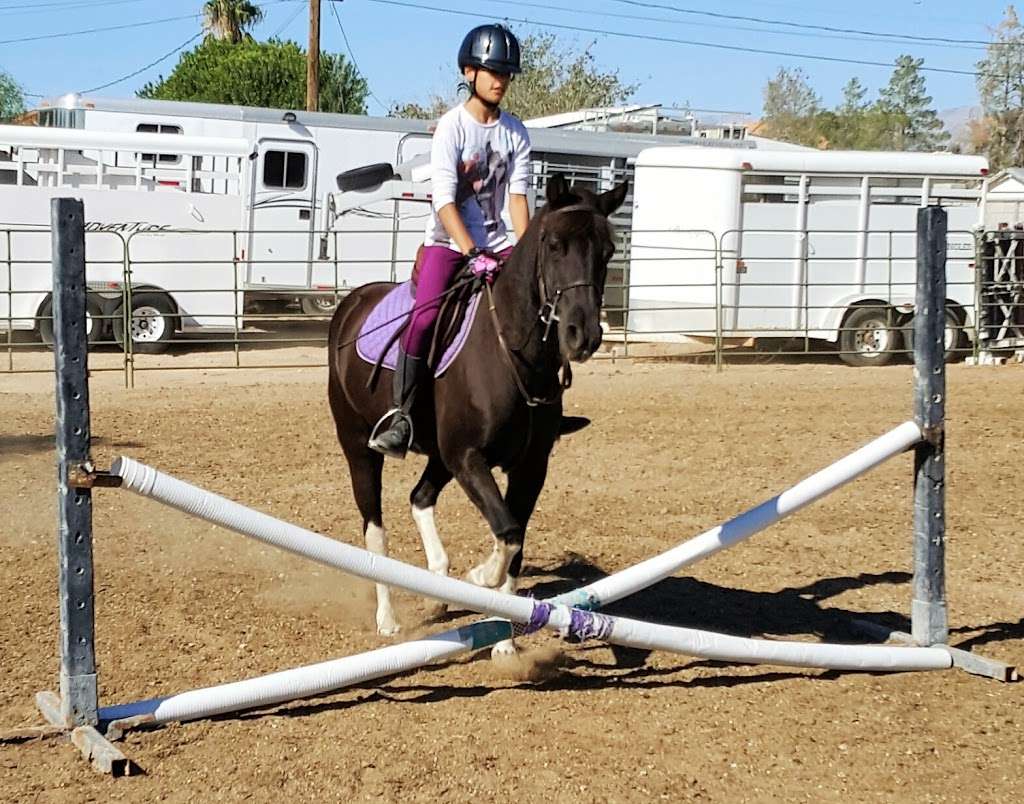 Leigh-Anns Riding Academy | 8025 Bermuda Rd, Las Vegas, NV 89123, USA | Phone: (702) 793-8363