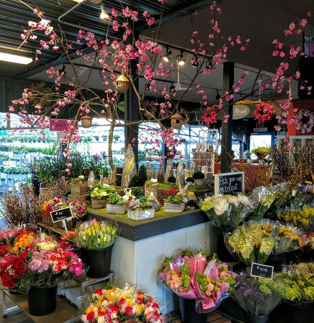 Mahoneys Garden Center | 1609 Main St, Tewksbury, MA 01876, USA | Phone: (978) 851-2712