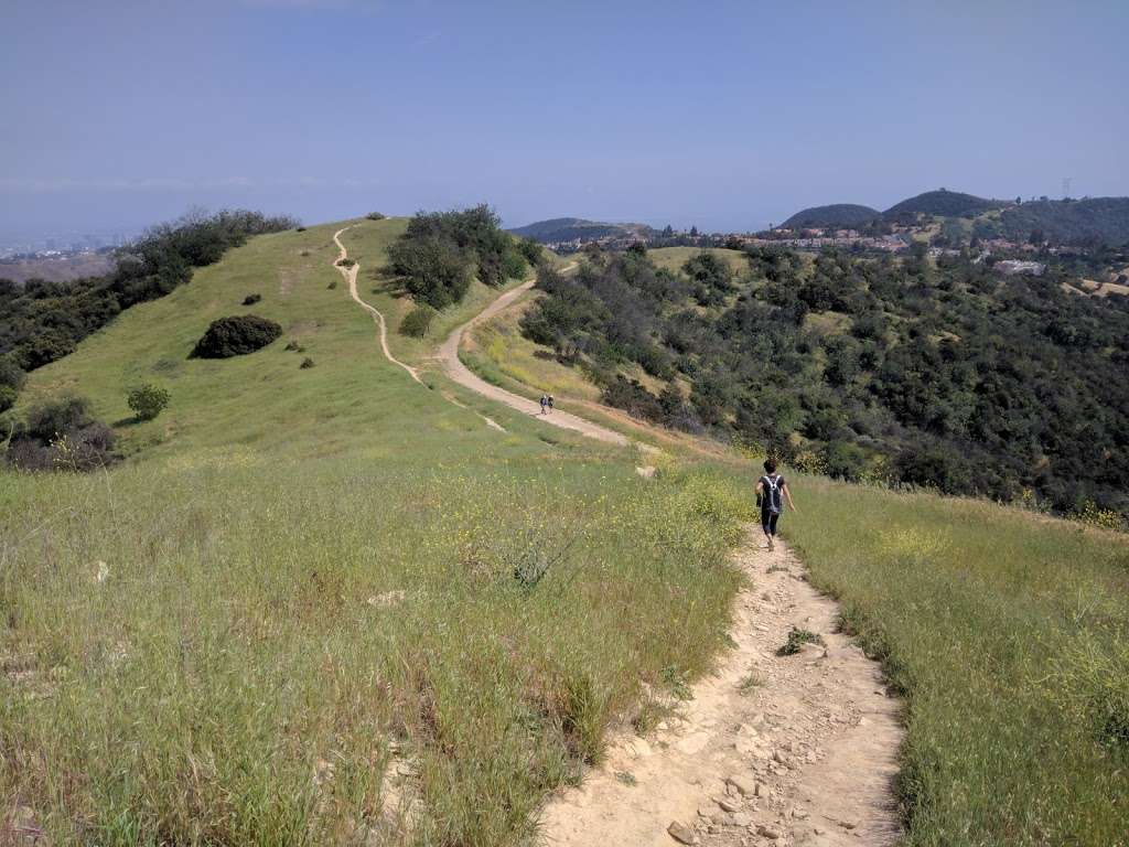 Canyonback Trail | Los Angeles, CA 90049