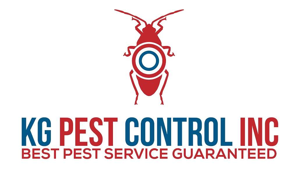 Kg pest control | 225-14 138th Ave, Jamaica, NY 11413, USA | Phone: (347) 752-4779