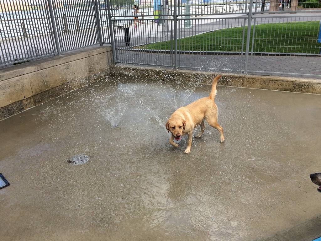 Leroy Street Dog Park | 2, 353 West St, New York, NY 10014 | Phone: (212) 627-2020