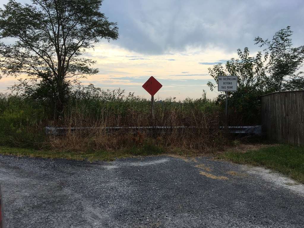 Choptank Wetlands Preserve | Preston, MD 21655, USA