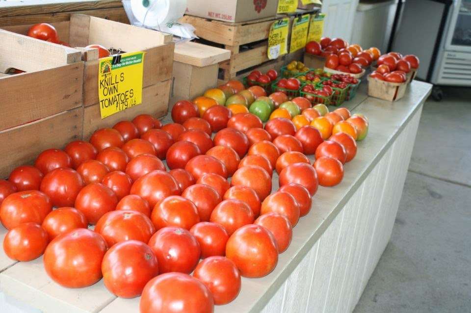 Knills Farm Market | 4001 W Watersville Rd, Mt Airy, MD 21771, USA | Phone: (301) 829-6799