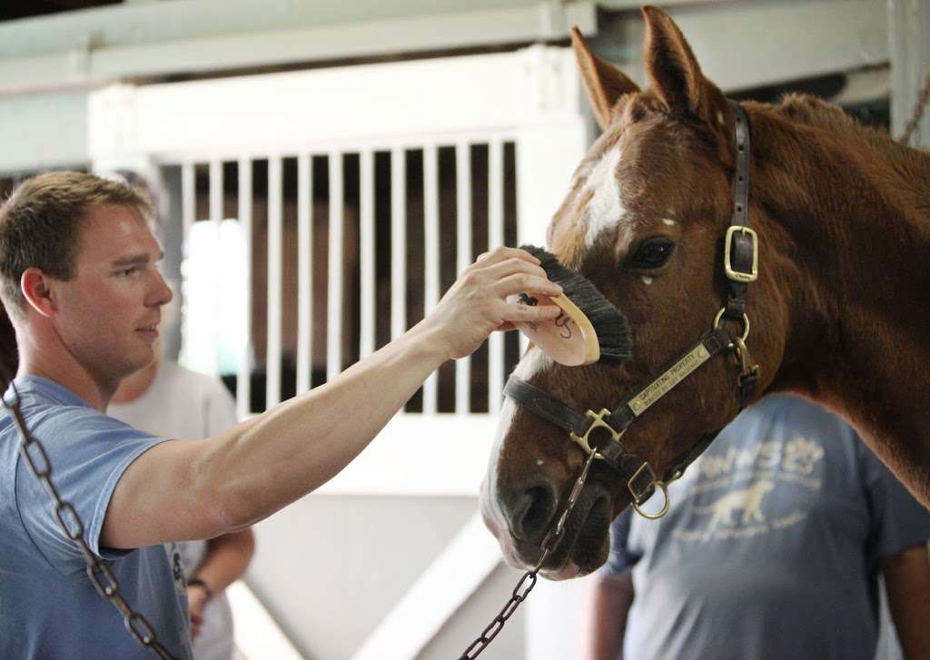 New Beginnings Therapeutic Riding Foundation NFP | 10101 S Kean Ave, Palos Hills, IL 60465, USA | Phone: (708) 598-7718