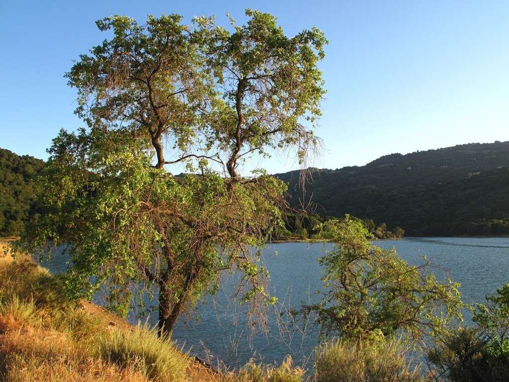 Stevens Creek Reservoir | 11997 Stevens Canyon Rd, Cupertino, CA 95014