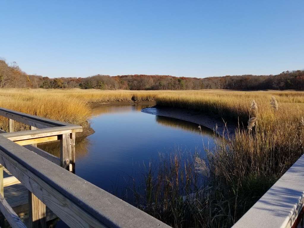 Interpretive Center at Cheesequake State Park | Interpretive Center, Matawan, NJ 07747 | Phone: (732) 566-2161