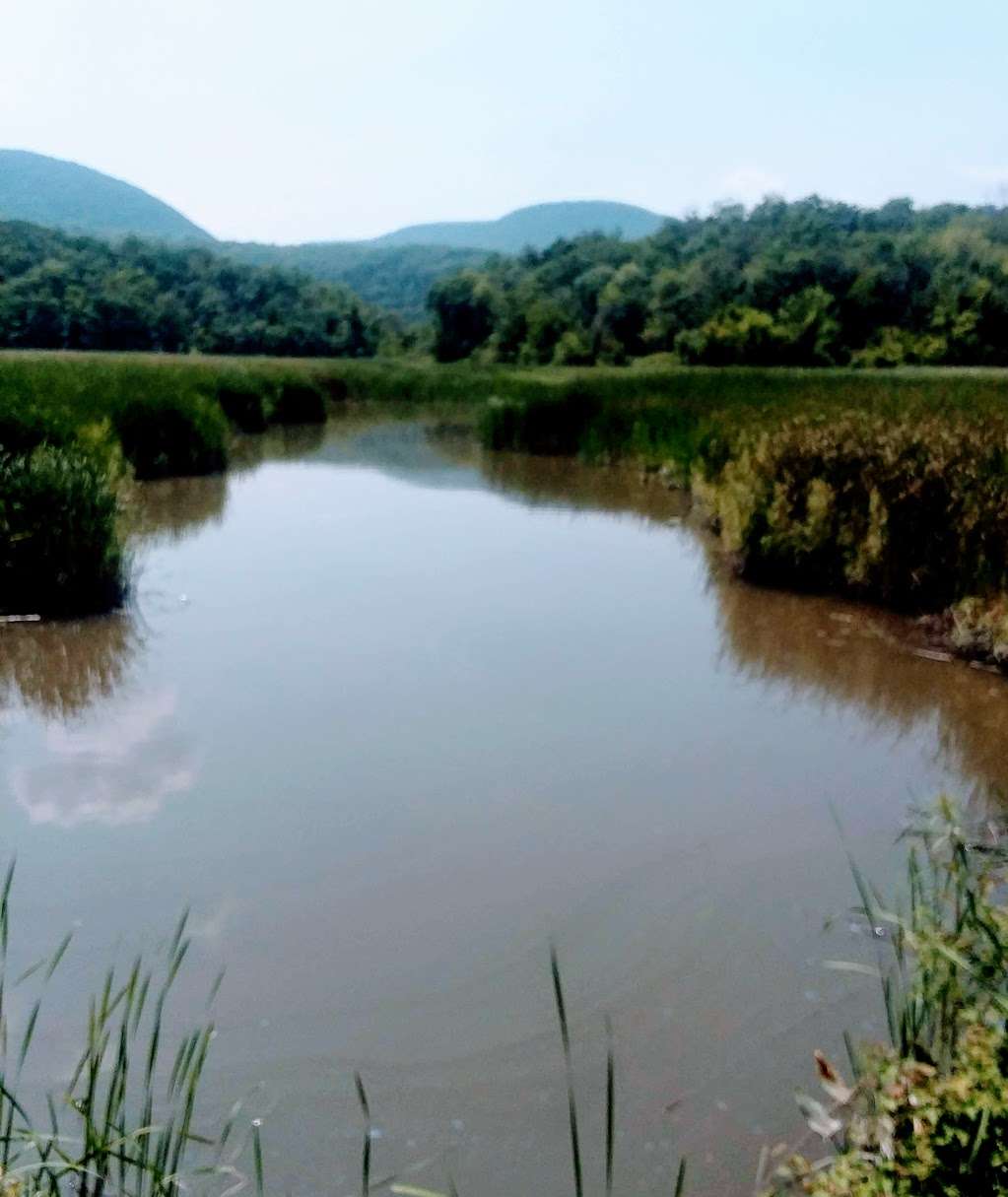 Iona Island Component Hudson River National Estuarine Research R | 259 Norrie Point Way, Tomkins Cove, NY 10986 | Phone: (845) 889-4745