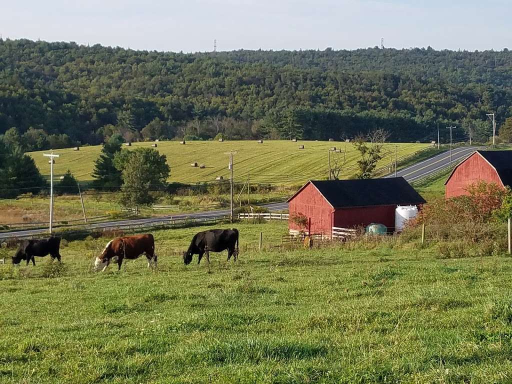 Spring Mountain Farms | 4595 Interchange Rd, Lehighton, PA 18235, USA | Phone: (610) 871-2310