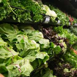 Kroger | 1930 E Main St, Plainfield, IN 46168, USA | Phone: (317) 839-7961