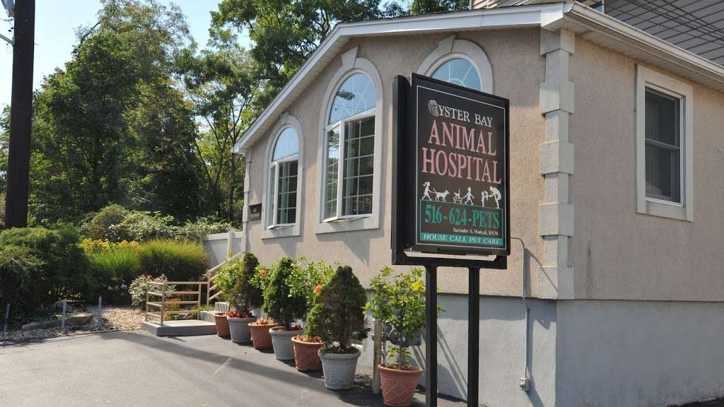 Oyster Bay Animal Hospital | 64 Pine Hollow Rd, Oyster Bay, NY 11771 | Phone: (516) 624-7387