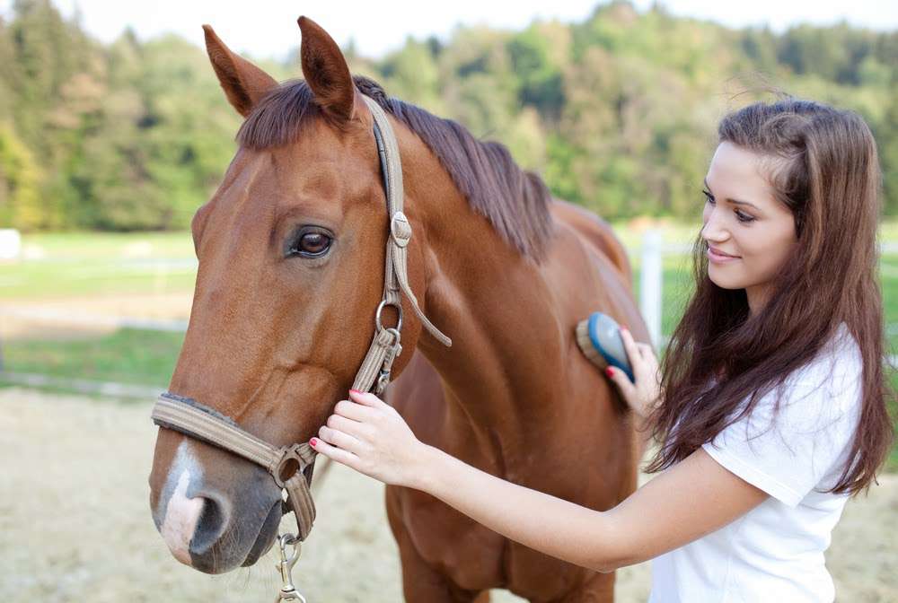 Mackey Veterinary Services | 1901 1st Ave, Greeley, CO 80631, USA | Phone: (970) 353-0995