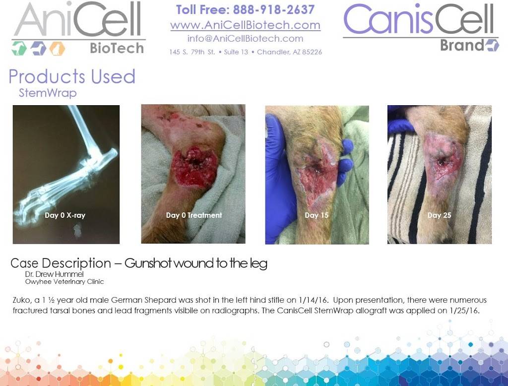 AniCell Biotech, LLC | 145 S 79th St # 9, Chandler, AZ 85226, USA | Phone: (480) 477-0100