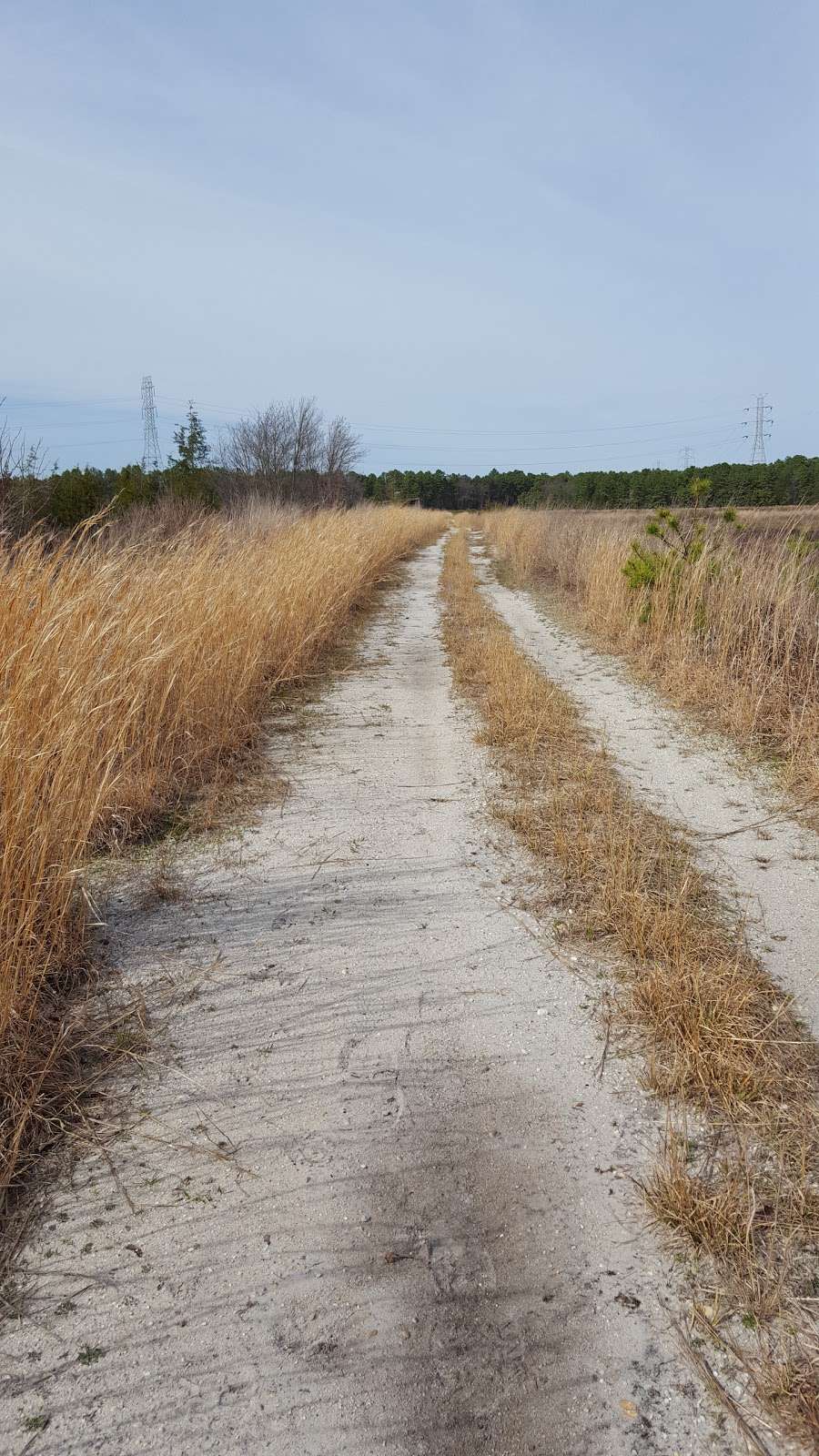 Cranberry BOGS | Holman Rd, Bayville, NJ 08721