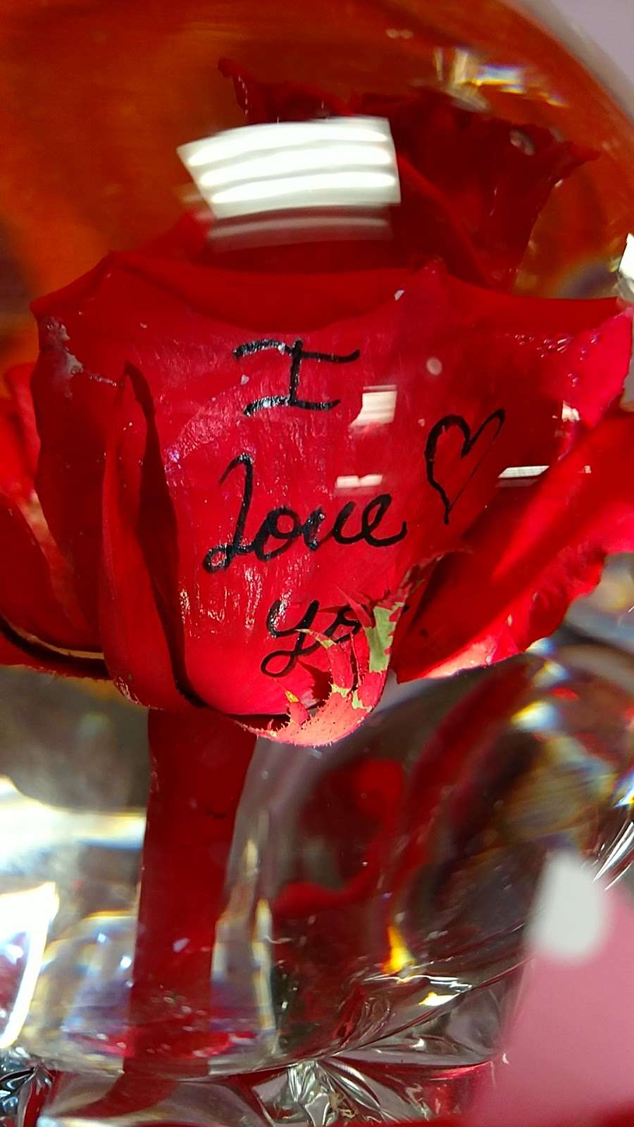 Leons Flower Shop | 6420 Gage Ave, Bell Gardens, CA 90201, USA | Phone: (562) 928-0000