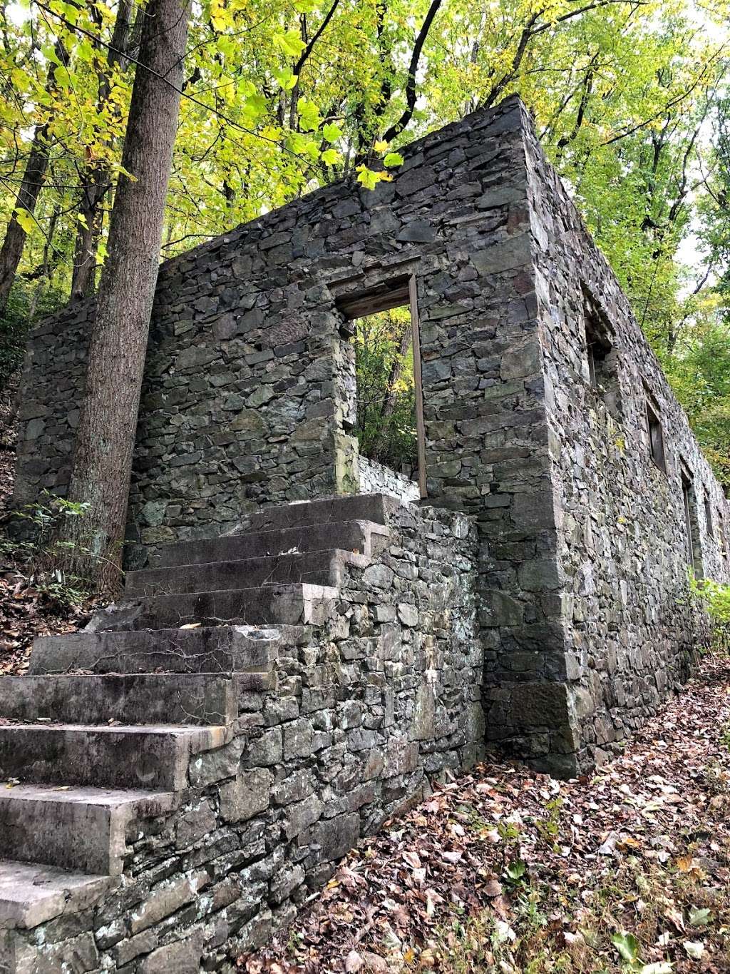 Mount Misery Trailhead | Wolfinger Trail, Phoenixville, PA 19460