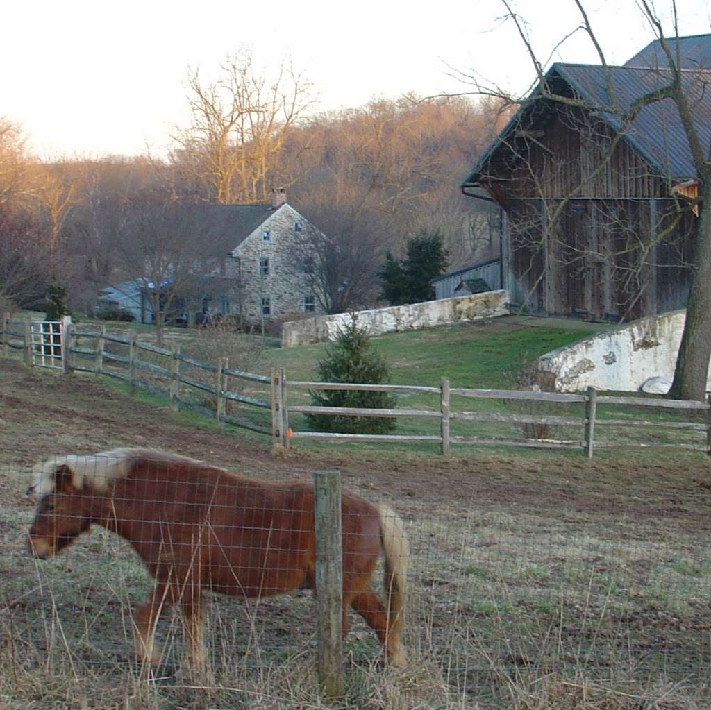 Laureleye Farms | 528 Brandywine Creek Rd, Coatesville, PA 19320, USA | Phone: (610) 486-6943