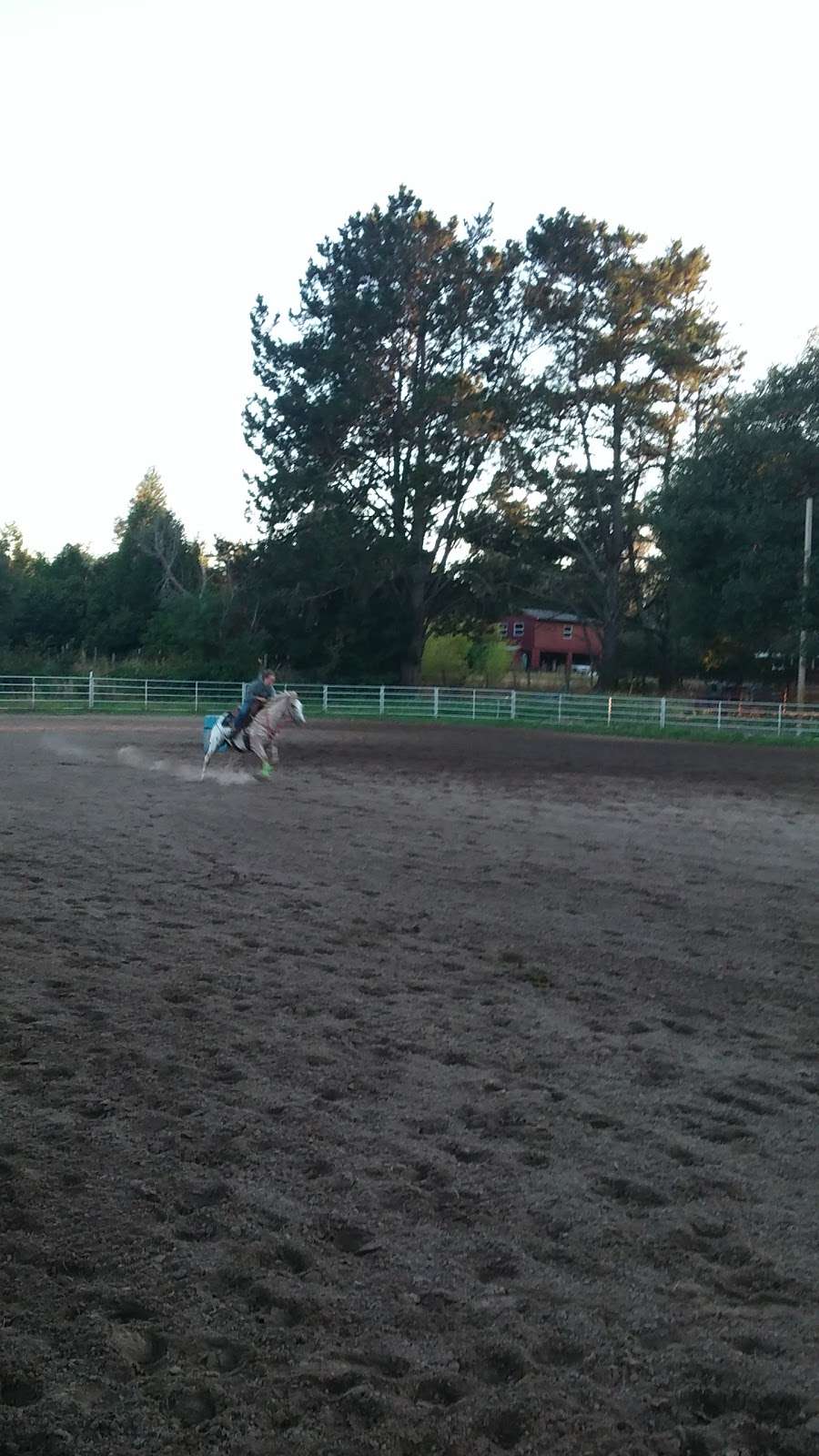 Sebastopol Wranglers Arena | 2412 Meier Rd, Sebastopol, CA 95472, USA | Phone: (707) 829-5328