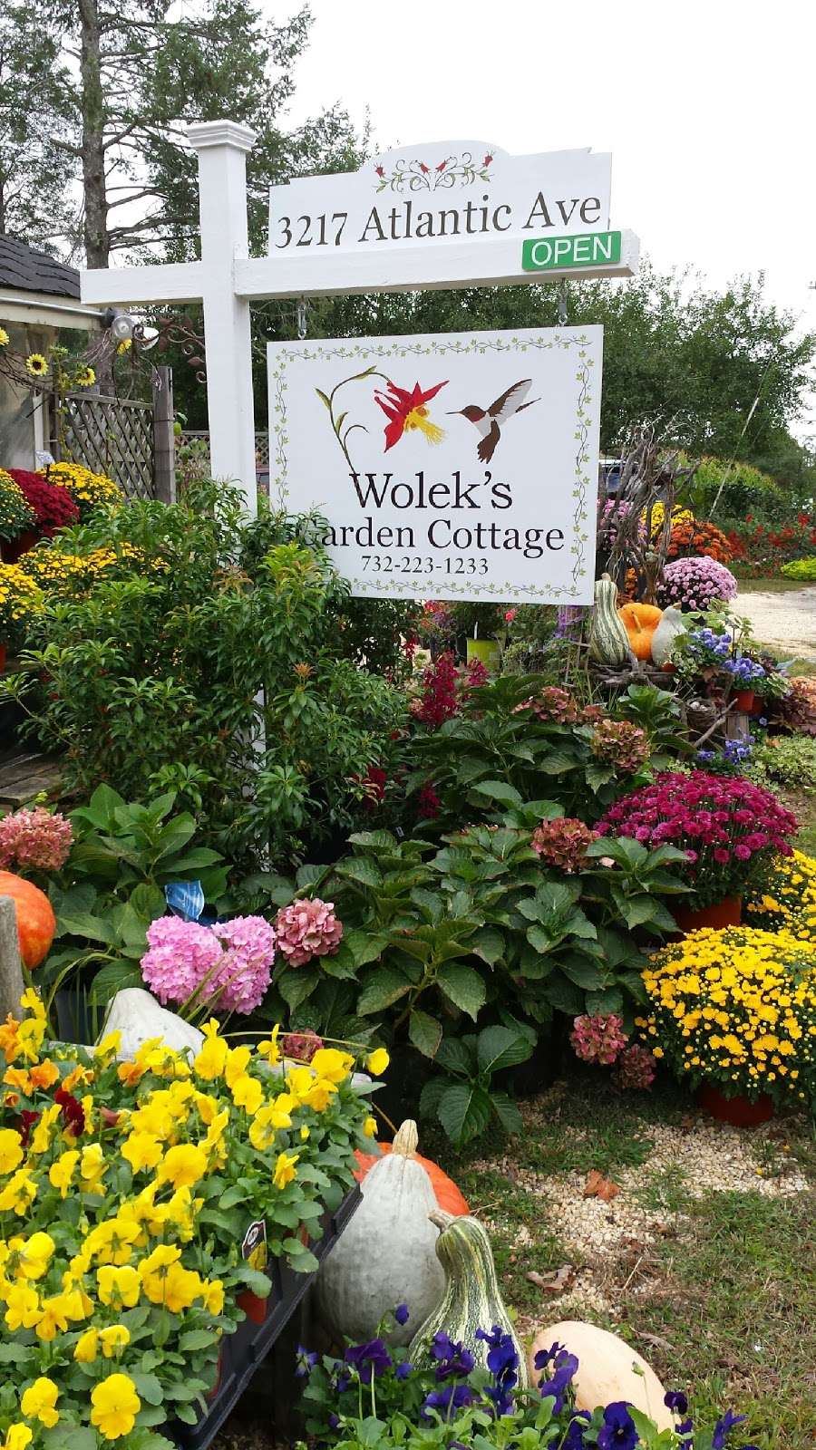 Woleks Garden Service, LLC / Woleks Garden Cottage | 3217 Atlantic Ave, Allenwood, NJ 08720 | Phone: (732) 223-1233