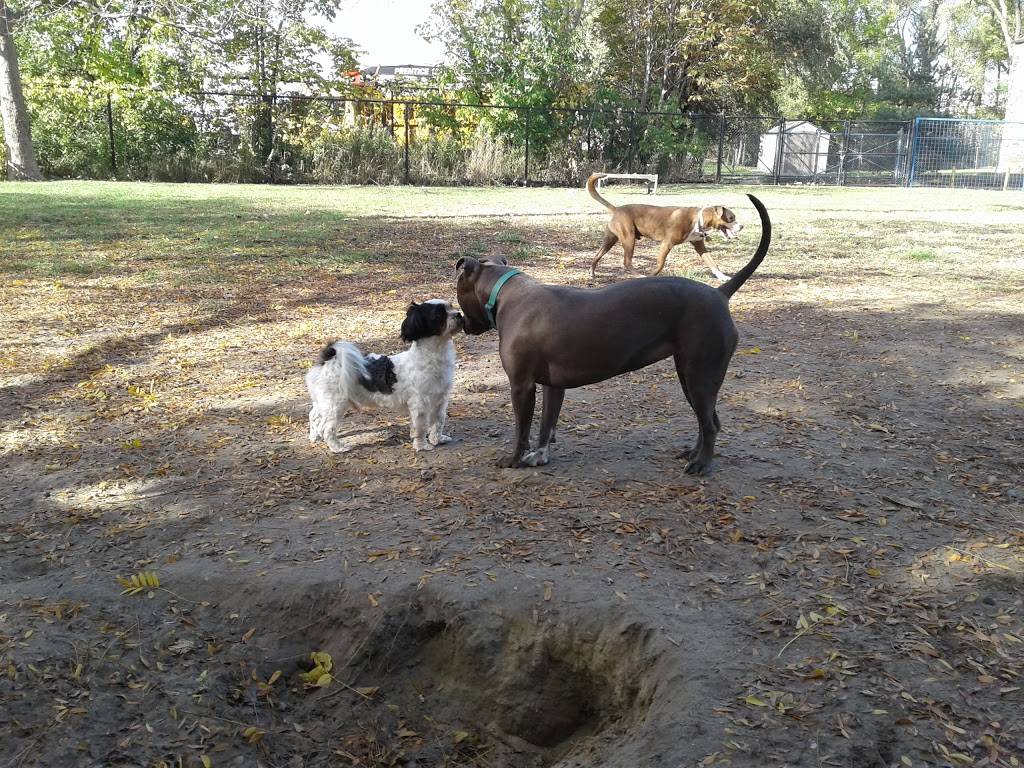 Detroit Dog Park | 2699 Rose St, Detroit, MI 48216, USA | Phone: (313) 224-1129