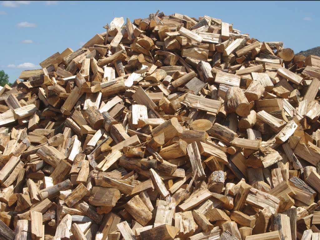 a plant depot | 409 Atlantic Ave, Oceanside, NY 11572, USA | Phone: (516) 903-1723