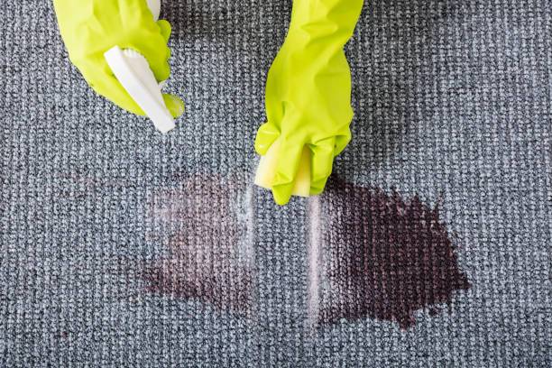 Gordon Carpet & Upholstery Cleaning | 1252 GA-138, Riverdale, GA 30296, USA | Phone: (770) 343-2589