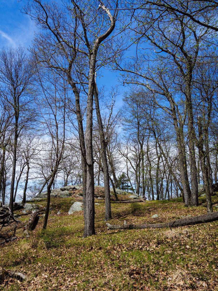 White Bar Trail (white markers) | Tuxedo, NY 10975, USA